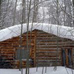 Seeking Shelter To Fabricate Clothes And Write – Other