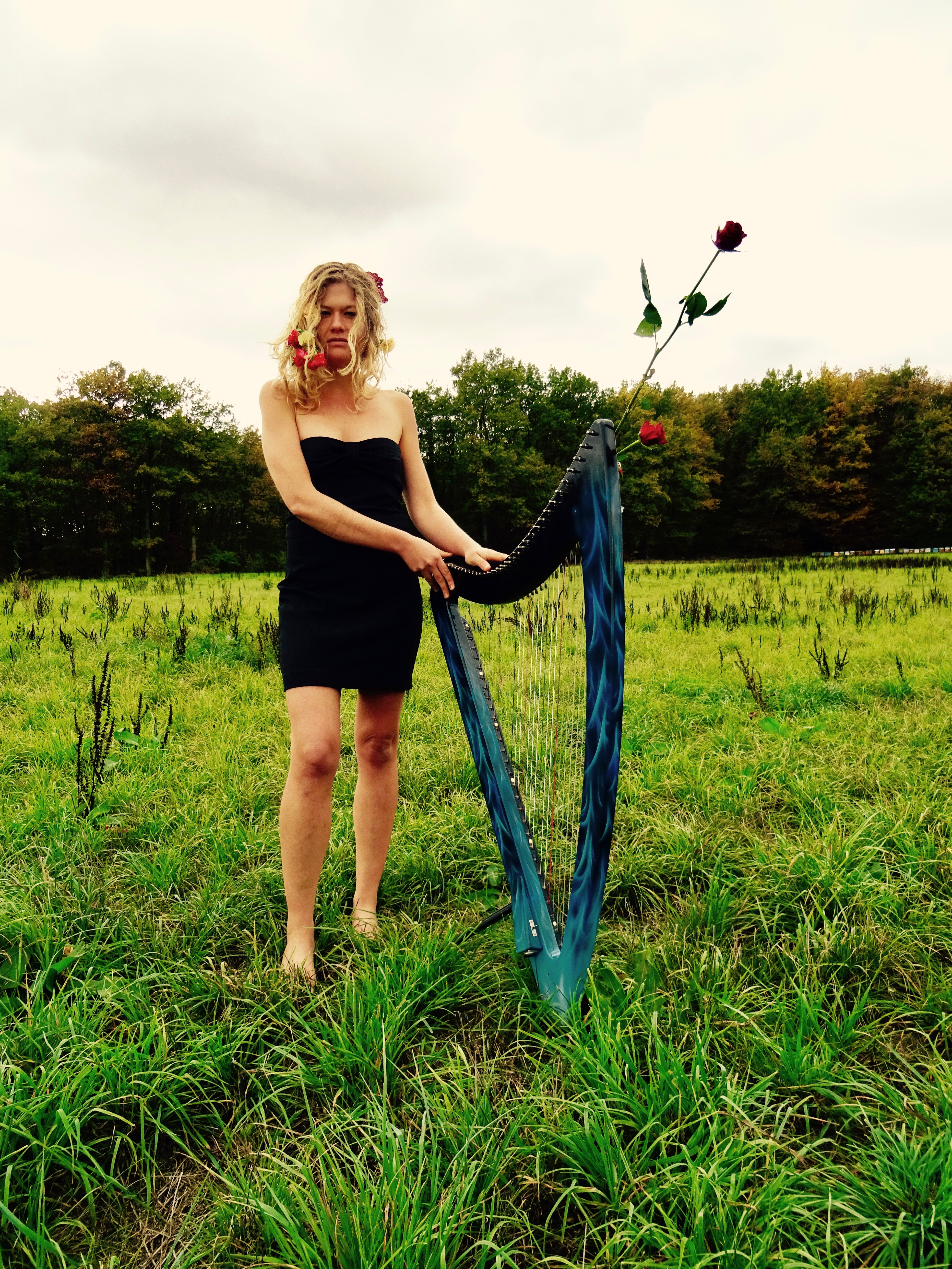 Harpiste Chanteuse électrique cherche lieu pour coeur