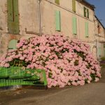 Le jardin du contrôleur