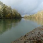 Petite Seine, Grand Monde