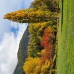 Bergerie dans les hautes alpes