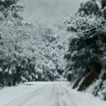 Photographer’s seeking new landscapes