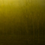 Photographer’s seeking new landscapes