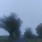 Photographer’s seeking new landscapes