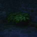 Photographer’s seeking new landscapes