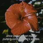 Musician/Composer looking for inspiring getaways