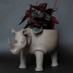 Ceramics and more!