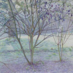 Recherche Atelier Au Calme – Fine Arts