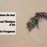 Artiste Recherche Résidence Temporaire – Visual Arts