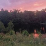 La Collina — Lieu de résidence, de création et de ressourcement en pleine nature – Nature