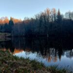 La Collina — Lieu de résidence, de création et de ressourcement en pleine nature – Nature