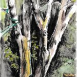 Dessinatrice-chanteuse cherche lieu inspirant – Arts plastiques