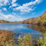 Residency Opportunity Nestled In Nature – Nature