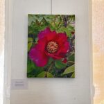 Artiste Plasticienne- Recherche Lieu De Résidence Et De Création – Arts Plastiques